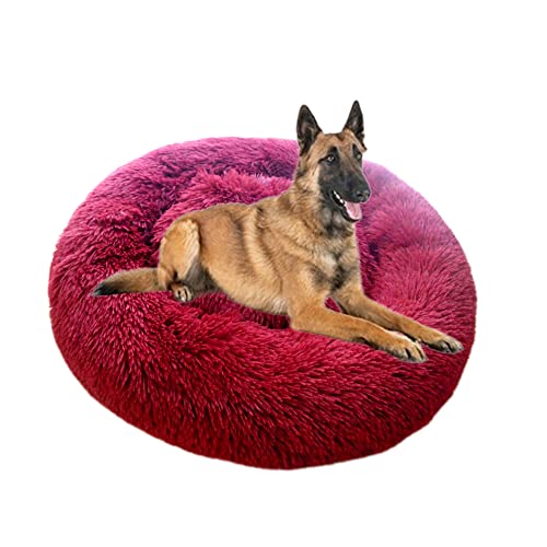 Rundes beruhigendes Donut-Hundebett, rutschfest, für Welpen, Kätzchen, Kuscheltier, weiches Plüsch, Angstlinderung, Hunde- und Katzennest, flauschiges Haustierbett für verbesserten Schlaf, 70 cm, Weinrot Rundes beruhigendes Donut-Hundebett, rutschfest, für Welpen, Kätzchen, Kuscheltier, weiches Plüsch, Angstlinderung, Hunde- und Katzennest, flauschiges Haustierbett für verbesserten Schlaf, 70 cm, Weinrot von ZOCIS