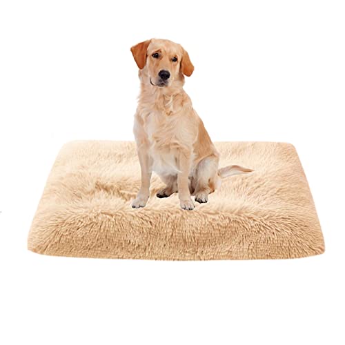 Weiche Plüsch-Hundebettmatte, waschbare Haustier-Hundekäfig-Matratze, rutschfeste Unterseite, Hundematte, Reißverschluss-Design, Haustierbettmatte, große beruhigende Hundebett-Matratze, 70 x 50 x 8 cm, Aprikose von ZOCIS