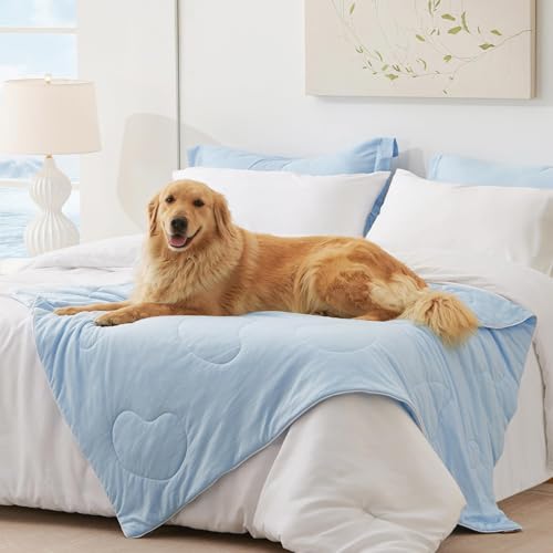 ZOMISIA Kühldecke für Hunde, 101,6 x 127,7 cm, große Kühlmatte, waschbar und atmungsaktiv, für den Sommer, hochwertige Q-MAX 0,4+ Technologie, tragbar für Reisen, weich, langlebig, Blau ZOMISIA Kühldecke für Hunde, 101,6 x 127,7 cm, große Kühlmatte, waschbar und atmungsaktiv, für den Sommer, hochwertige Q-MAX 0,4+ Technologie, tragbar für Reisen, weich, langlebig, Blau von ZOMISIA