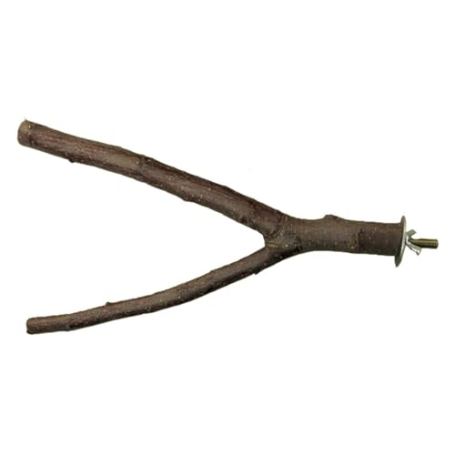 ZONADAH Papageiensitzstange, natürliche Sitzstange in Y-Form, 20 cm, Vogelschaukel, Vogelständer, Schleifpfote, Kletterholz, Käfigzubehör für Sittiche, Nymphensittiche, Conures, Dicke 1–2,5 cm ZONADAH Papageiensitzstange, natürliche Sitzstange in Y-Form, 20 cm, Vogelschaukel, Vogelständer, Schleifpfote, Kletterholz, Käfigzubehör für Sittiche, Nymphensittiche, Conures, Dicke 1–2,5 cm von ZONADAH