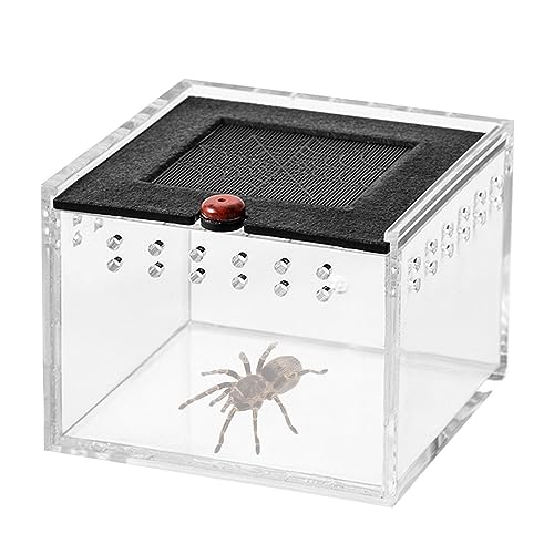 ZONEWD Reptilien-Box-Hülle | Reptiliengehege Eidechsenkäfig Schildkrötenlebensraum Einsiedlerkrebsbecken - Eidechsenkäfig, Reptilienterrarium und Gehege, Mini-Haustiergehege, tragbarer ZONEWD Reptilien-Box-Hülle | Reptiliengehege Eidechsenkäfig Schildkrötenlebensraum Einsiedlerkrebsbecken - Eidechsenkäfig, Reptilienterrarium und Gehege, Mini-Haustiergehege, tragbarer von ZONEWD
