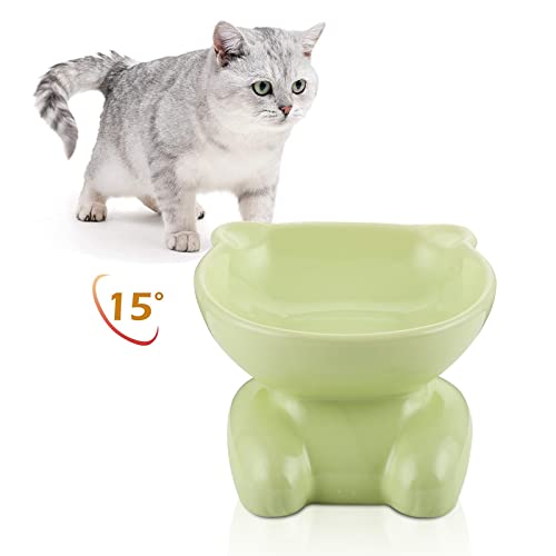 ZONEYILA Futternäpfe für Katzen, Keramik, um 15 Grad geneigt, erhöhter Futternapf für Katzen und kleine Hunde (Hellgrün) von ZONEYILA