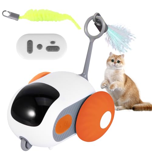 Z Mie Interaktives Katzenspielzeug mit Fernbedienung, über USB wiederaufladbar, automatisches Übungsspielzeug für Erwachsene und Kätzchen im Innenbereich von ZONJIE