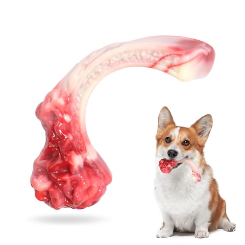 ZONSUSE Kauspielzeug für Aggressive Kauer,Hundespielzeug Große Hunde,Hundeknochen Spielzeug aus Nylon mit Rindfleisch Geschmack, für Langeweile Ängste lindern Saubere Zähne Hund Geburtstag (Steak M) ZONSUSE Kauspielzeug für Aggressive Kauer,Hundespielzeug Große Hunde,Hundeknochen Spielzeug aus Nylon mit Rindfleisch Geschmack, für Langeweile Ängste lindern Saubere Zähne Hund Geburtstag (Steak M) von ZONSUSE