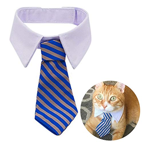 ZOOENIE Hunde Katzen Krawatte, Einstellbar Halsband Halskette Fliege Schleife Halskrause Hundefliege Halsschleife für Welpen Katze Haustier (Blau) von ZOOENIE