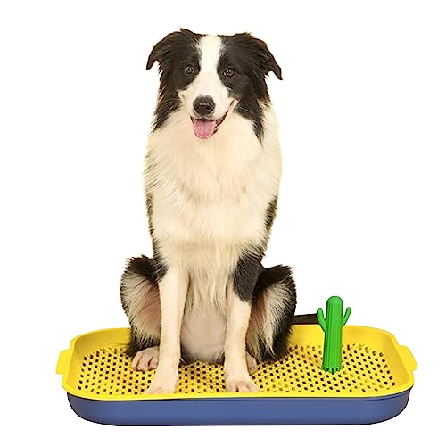 Indoor Dog Potty Tray - Indoor Dogs Potty Training Toilet with Cactus - Dog Pad Holder Mesh Training Tray Pet Toilet Suitable for Paws Dry White Yellow Zorq von ZORQ