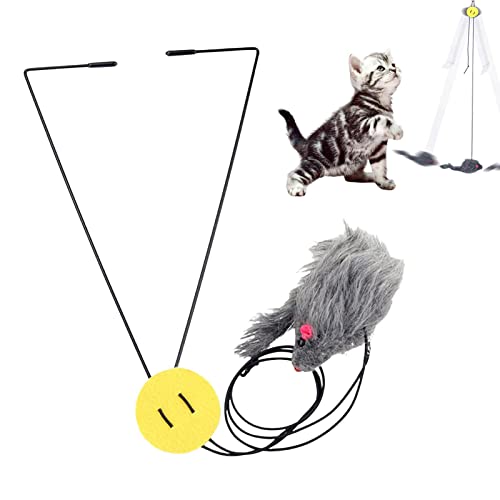 Tür-Katzenspielzeug | Kätzchen necken Suspending Toy,Retractable Triangle Hanger, Makes Sound, Pet Interactive Toy for Cat Indoor Exercise Zorq von ZORQ