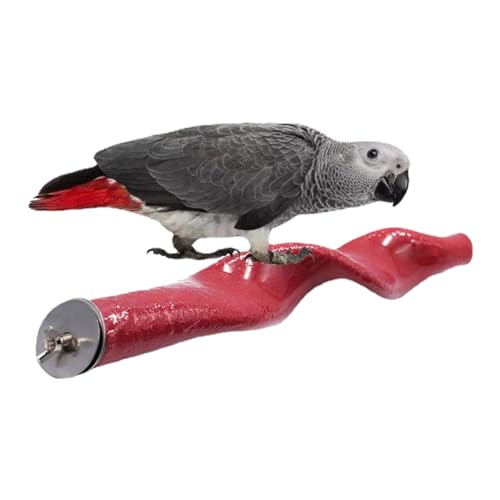 Vogelständer Barsch - Parrot Frosted Play Duschständer,Bar Vogelkäfige Spielzeug Krallenstäbe Schleifstab Zubehör für Wellensittiche Nymphensittiche Zorq von ZORQ