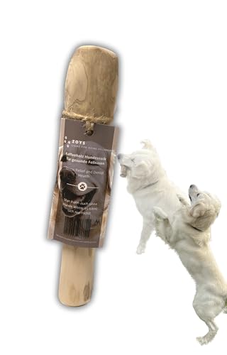Zoys® Kaffeeholz natürlicher Kauknochen für Hunde - Größe M 7-15kg Gewicht - Kaustab für Zahnreinigung & Zahnpflege & nachhaltige Beschäftigung - Hundezubehör langlebig & risikoarm - 1 Stück (M) von ZOYS - ZEUS TOYS