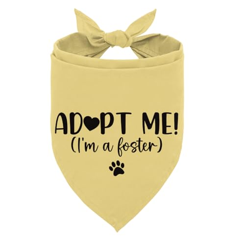 Adopt Me I'm a Foster Hundehalstuch, Adoptiertes Welpen-Halstuch, Baby-Hunde-Ankündigung, gelbes Hundehalstuch, Haustier-Schal, Zubehör für kleine, mittelgroße Hunde und Katzen, Foto-Requisite Adopt Me I'm a Foster Hundehalstuch, Adoptiertes Welpen-Halstuch, Baby-Hunde-Ankündigung, gelbes Hundehalstuch, Haustier-Schal, Zubehör für kleine, mittelgroße Hunde und Katzen, Foto-Requisite von ZPPRJF