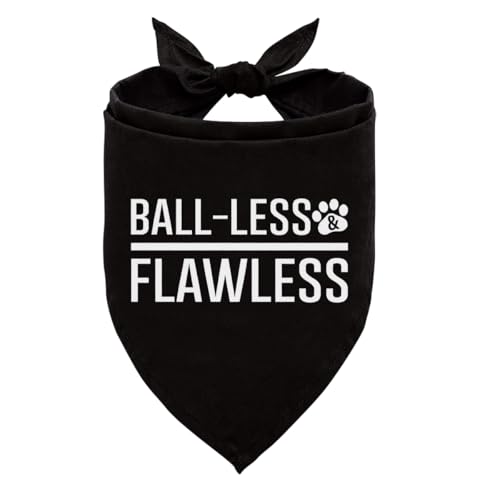 Ballloses & makelloses Hundehalstuch, lustiges süßes schwarzes Hundehalstuch, für Hundeliebhaber, Haustier-Schal-Zubehör für kleine, mittelgroße Hunde, Haustier-Dreieck-Schal-Zubehör Ballloses & makelloses Hundehalstuch, lustiges süßes schwarzes Hundehalstuch, für Hundeliebhaber, Haustier-Schal-Zubehör für kleine, mittelgroße Hunde, Haustier-Dreieck-Schal-Zubehör von ZPPRJF