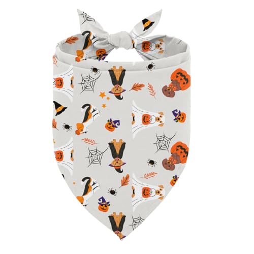 Halloween-Hundehalstuch, dekoratives Halstuch, Haustier-Halstuch mit Kürbisen, Geistern, Spinnennetzen, Herbstlaub-Muster, Halloween-Dekoration für kleine und mittelgroße Hunde von ZPPRJF