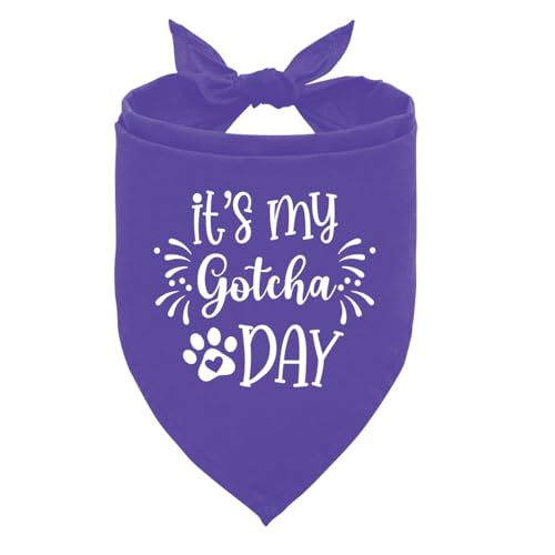It's My Gotcha Day Hundehalstuch, Hundehalstuch, violett, Haustier-Hundeschal, Dreieckschal, lustiges süßes Hundehalstuch, Hundehalstuch, Hundehalstuch, für große Hunde, Hundehalstuch, Haustierschal It's My Gotcha Day Hundehalstuch, Hundehalstuch, violett, Haustier-Hundeschal, Dreieckschal, lustiges süßes Hundehalstuch, Hundehalstuch, Hundehalstuch, für große Hunde, Hundehalstuch, Haustierschal von ZPPRJF