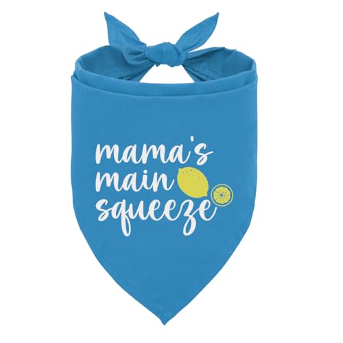 Mama's Main Hundehalstuch, Haustier-Schal, Zubehör für kleine, mittelgroße Hunde und Katzen, Foto-Requisite, blaues Hundehalstuch, Geburtstagsgeschenk für Hundeliebhaber Mama's Main Hundehalstuch, Haustier-Schal, Zubehör für kleine, mittelgroße Hunde und Katzen, Foto-Requisite, blaues Hundehalstuch, Geburtstagsgeschenk für Hundeliebhaber von ZPPRJF