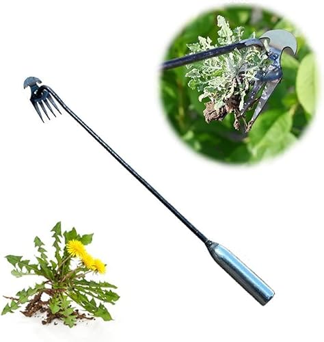 ZQTWJ Weeding Artifact Uprooting Weeding Tool, Garden Weeding Tools, Manganese Steel Forged Weed Puller 4 Teeth Dual Purpose Weeder, High Strength Hand Remover Tool for Garden von ZQTWJ