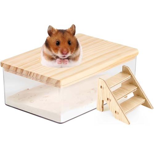 ZQuintuplian 1 x Hamster-Sandbad, Behälter, Hamsterbad, Sand, Rennmaus, Sandbad, Hamster, Staubbad, Hamster-Badebehälter mit Leiter, Chinchilla, Staubbad, Hamster-Zubehör ZQuintuplian 1 x Hamster-Sandbad, Behälter, Hamsterbad, Sand, Rennmaus, Sandbad, Hamster, Staubbad, Hamster-Badebehälter mit Leiter, Chinchilla, Staubbad, Hamster-Zubehör von ZQuintuplian