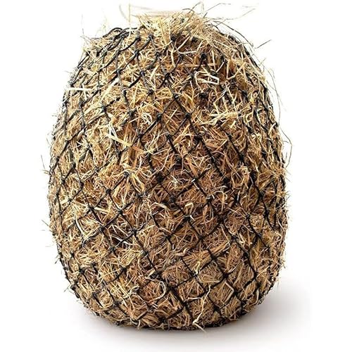 Heunetz-Futterspender für Pferde, 91,4 cm Länge, 12,7 cm Löcher, langsames Füttern, Tasche für Pferde und Ziegen, Schwarz, 1 Stück Heunetz-Futterspender für Pferde, 91,4 cm Länge, 12,7 cm Löcher, langsames Füttern, Tasche für Pferde und Ziegen, Schwarz, 1 Stück von ZR ZHENGRONG