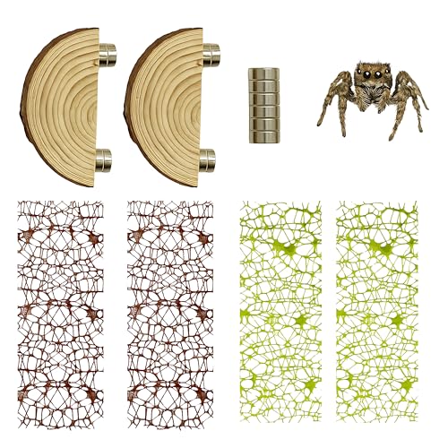 Multifunktionales Springspinnen-Lebensraum-Dekor-Set, Naturholz-Länder, Spinnenkletternetz, lustiges Gehege Zubehör zum Klettern und Verstecken (Holzledge) von ZREVSB