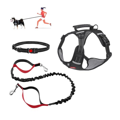 Hundegeschirr mit Trainingsgriff zum Laufen, Spazierengehen, freihändiger Taillengürtel, Hundeleine für kleine, mittelgroße und große Hunde (XS) von ZSBSET YYDS