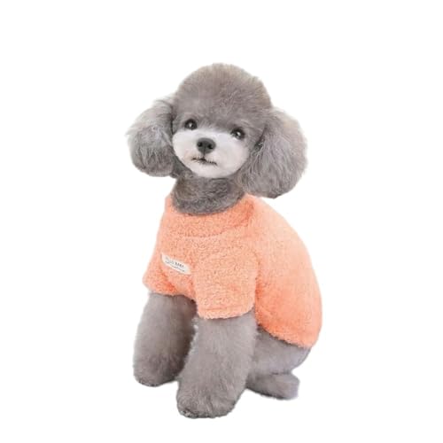 ZSHDTKWB Hundekleidung Winter Warmer Hundpullover Für Kleine Hunde Plüsch Hund Kleidung Weiche Welpenmanteljacke Chihuahua Teddy Bicon Welpe-orange-m ZSHDTKWB Hundekleidung Winter Warmer Hundpullover Für Kleine Hunde Plüsch Hund Kleidung Weiche Welpenmanteljacke Chihuahua Teddy Bicon Welpe-orange-m von ZSHDTKWB