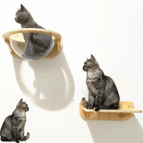 ZSXZCBDQ Katzenkletterwand Zur Wandmontage, Wandmontierte Hängematte, Wandmontierte Katzenmöbel,(Package 1) von ZSXZCBDQ
