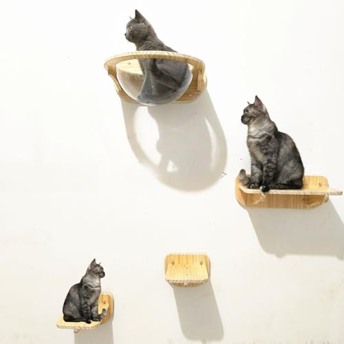 ZSXZCBDQ Katzenkletterwand Zur Wandmontage, Wandmontierte Hängematte, Wandmontierte Katzenmöbel,(Package 3) von ZSXZCBDQ