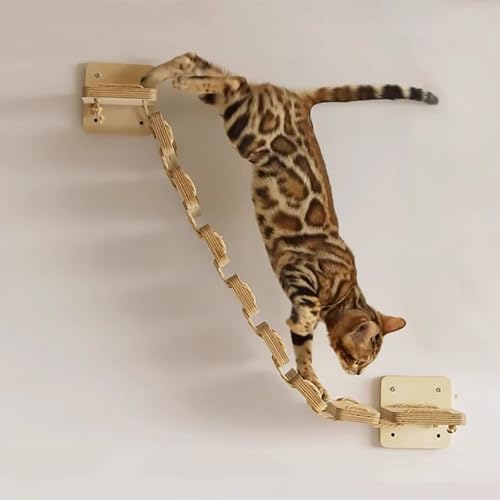 Wandmontiertes Möbelregal für Balkon, Gehweg, Treppe, Katze, Wandmontage, 8 Stück Wandmontiertes Möbelregal für Balkon, Gehweg, Treppe, Katze, Wandmontage, 8 Stück von ZSXZCBDQ