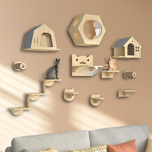ZSXZCBDQ Katzenhängematte, Katzenkletterwand Set, mit Haus, Treppe, Kratzbaum – Kletterregal aus Naturholz für Hauskatzen(11pcs) von ZSXZCBDQ