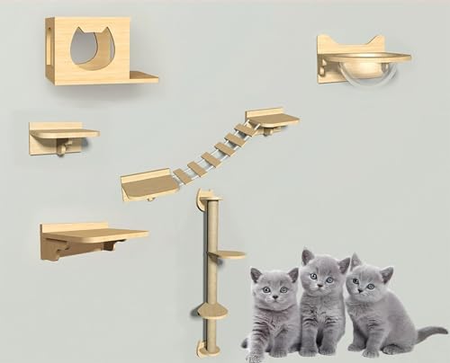 ZSXZCBDQ Kletterwand Für Katzen Mit Katzentreppe, Katzenwandelemente, Einfach Zu Montieren,(Package 4) von ZSXZCBDQ