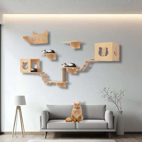 ZSXZCBDQ Kletterwand Katzen, Katzenwandregale und -sitzstangen, Massivholz-Kletterregale mit Klettergerüst, Katzenhaus, Kratzbaum, Leiter und Plattform, Raumkapsel(10pcs) von ZSXZCBDQ