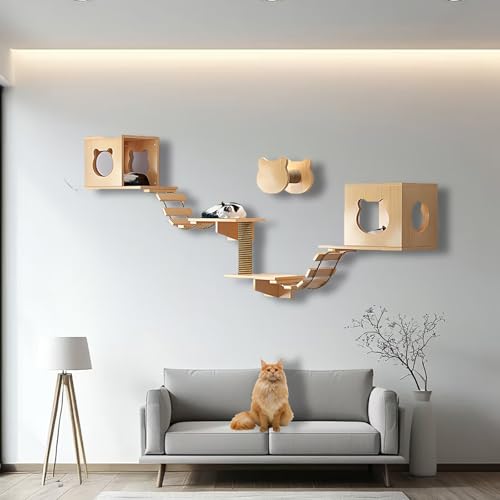ZSXZCBDQ Kletterwand Katzen, Katzenwandregale und -sitzstangen, Massivholz-Kletterregale mit Klettergerüst, Katzenhaus, Kratzbaum, Leiter und Plattform, Raumkapsel(8pcs) von ZSXZCBDQ