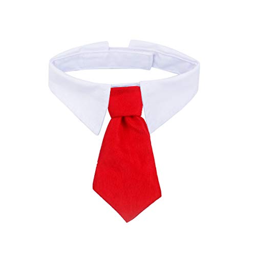 ZTON Fliege für kleine Welpen, handgefertigt, verstellbar, formelle Halsband-Krawatte für Hunde und Katzen, Größe L, Rot ZTON Fliege für kleine Welpen, handgefertigt, verstellbar, formelle Halsband-Krawatte für Hunde und Katzen, Größe L, Rot von ZTON