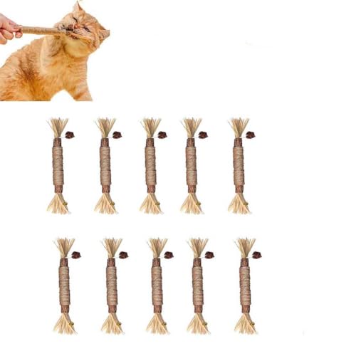 Nylatails Silvervine Dental Stick,Katzenminze Sticks,Zahnreinigende Knabberstangen Katze,Natürlich Sicher Katzensticks Kausticks,Zum Schleifen von Zähnen,Für Katze Zu Spielen,Beißen,Kauen (10 Stück) Nylatails Silvervine Dental Stick,Katzenminze Sticks,Zahnreinigende Knabberstangen Katze,Natürlich Sicher Katzensticks Kausticks,Zum Schleifen von Zähnen,Für Katze Zu Spielen,Beißen,Kauen (10 Stück) von ZUICC