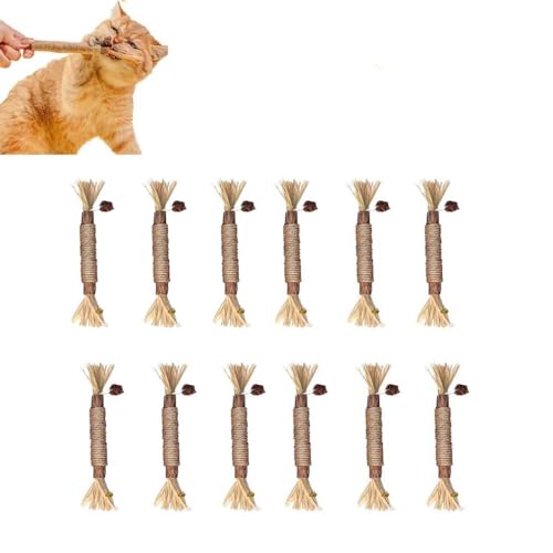 Nylatails Silvervine Dental Stick,Katzenminze Sticks,Zahnreinigende Knabberstangen Katze,Natürlich Sicher Katzensticks Kausticks,Zum Schleifen von Zähnen,Für Katze Zu Spielen,Beißen,Kauen (12 Stück) Nylatails Silvervine Dental Stick,Katzenminze Sticks,Zahnreinigende Knabberstangen Katze,Natürlich Sicher Katzensticks Kausticks,Zum Schleifen von Zähnen,Für Katze Zu Spielen,Beißen,Kauen (12 Stück) von ZUICC