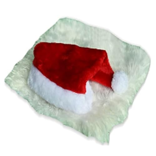 Haustier-Löwen-Perücke, Weihnachtsmannmütze, Bart, Hundekostüm für Weihnachten, Fotos, Familientreffen, Hundekostüm-Zubehör Haustier-Löwen-Perücke, Weihnachtsmannmütze, Bart, Hundekostüm für Weihnachten, Fotos, Familientreffen, Hundekostüm-Zubehör von ZUJIABAO
