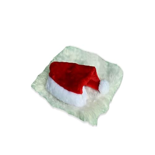 Haustier-Löwen-Perücke, Weihnachtsmannmütze, Bart, Hundekostüm für Weihnachten, Fotos, Familientreffen, Hundekostüm-Zubehör Haustier-Löwen-Perücke, Weihnachtsmannmütze, Bart, Hundekostüm für Weihnachten, Fotos, Familientreffen, Hundekostüm-Zubehör von ZUJIABAO