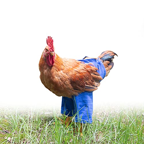 ZUKIBO Chicken Pants Meme, Halloween-Kostüm für Haustiere Hühner, Henne Schürze Huhn Kleidung Spielzeug Tutu (blau, M) von ZUKIBO