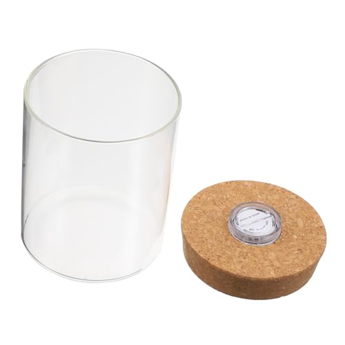 ZUNOXAZ 1 Stück Zylindrische Glasflasche aus Borosilikatglas Ökologische Mini Fischflasche mit LED Licht zur Kreativen Gestaltung von Mikrolandschaften für Zuhause Büro und ZUNOXAZ 1 Stück Zylindrische Glasflasche aus Borosilikatglas Ökologische Mini Fischflasche mit LED Licht zur Kreativen Gestaltung von Mikrolandschaften für Zuhause Büro und von ZUNOXAZ