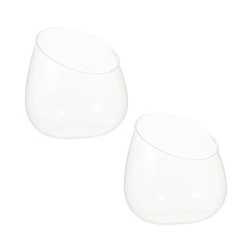 ZUNOXAZ 2 Stück Klare Glasvase mit Schrägöffnung Bubble Bowl für Sukkulenten Pflanzgefäß Terrarium Dekoration Wohnzimmer Schlafzimmer Indoor Outdoor von ZUNOXAZ