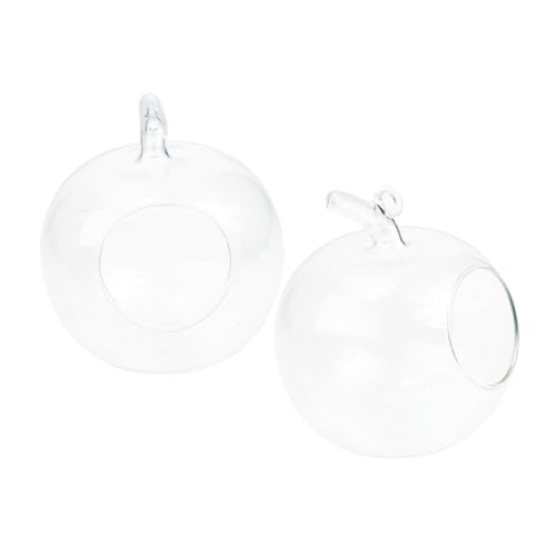 ZUNOXAZ 2 Stück Kreative Landschaftsflasche Apfel Förmige Mikrolandschaft Klarglas Terrarium für Hydroponische Pflanzen Ökologische Flasche für Desktop Pflanzenbehälter ZUNOXAZ 2 Stück Kreative Landschaftsflasche Apfel Förmige Mikrolandschaft Klarglas Terrarium für Hydroponische Pflanzen Ökologische Flasche für Desktop Pflanzenbehälter von ZUNOXAZ