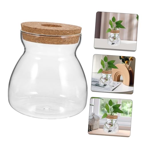 ZUNOXAZ Glas Terrarium Ökosystem Behälter Durchsichtiges Terrarium für Hydroponik und Sukkulenten Mikroökologische Pflanzenvase für Innenräume Stabiles Design Vielseitig für Moos und ZUNOXAZ Glas Terrarium Ökosystem Behälter Durchsichtiges Terrarium für Hydroponik und Sukkulenten Mikroökologische Pflanzenvase für Innenräume Stabiles Design Vielseitig für Moos und von ZUNOXAZ