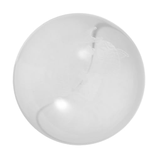 ZUNOXAZ Kugel Mit Fischmuster Für Aquariendekoration Dekorative Runde Kugel Aus Glas Für Wohnzimmer Und Arbeitszimmer Brunnenkugel Für Innenräume von ZUNOXAZ