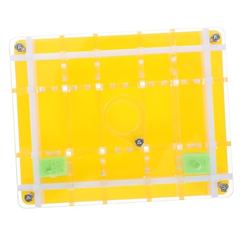 ZUNOXAZ Ökologisches Acryl mit Belüftung Transparentes Formicarium für Ameisenkolonien Leichtes Insektenhaus zur Beobachtung und Pflege Feuchtigkeitsspendendes Habitat für Ameisenzucht ZUNOXAZ Ökologisches Acryl mit Belüftung Transparentes Formicarium für Ameisenkolonien Leichtes Insektenhaus zur Beobachtung und Pflege Feuchtigkeitsspendendes Habitat für Ameisenzucht von ZUNOXAZ