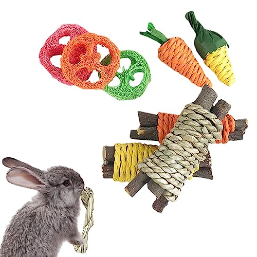 ZUREGO 10 Stück Hasen-Kauspielzeug für Zähne – 9 Stück Zwerghamster, Kauspielzeug, Haustier-Beißspielzeug, Übungszubehör für Zwerghamster, Kauspielzeug mit Seil für Meerschweinchen und Kleintiere von ZUREGO