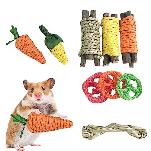 ZUREGO 5 Stück Kaninchen-Zahnen-Spielzeug – 9 Stück Zwerghamster, Kauspielzeug, Haustier-Beißspielzeug, Übungszubehör für Zwerghamster, Kauspielzeug mit Seil für Meerschweinchen und Kleintiere von ZUREGO