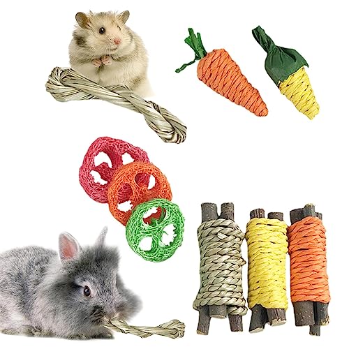 ZUREGO Hamster-Spielzeug aus Holz, 9 Stück, Übungszubehör für kleine Tiere, kleine Haustiere zum Zähneknirschen, Meerschweinchen-Spielzeug, Zwerghamster, Kauspielzeug, mit Seil für Meerschweinchen und von ZUREGO