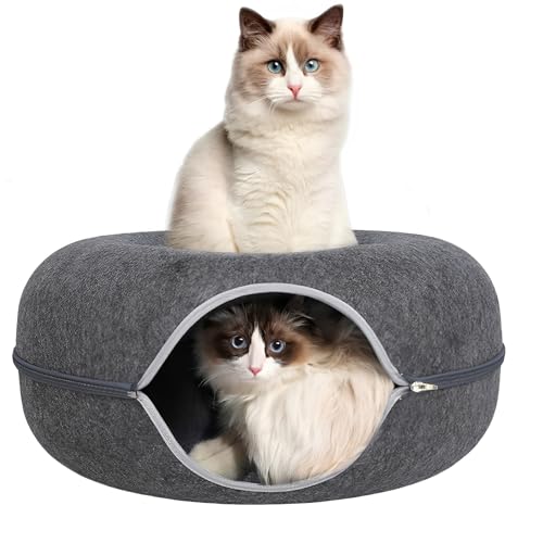 ZVGV Katzennest ZVGV Katzennest von ZVGV