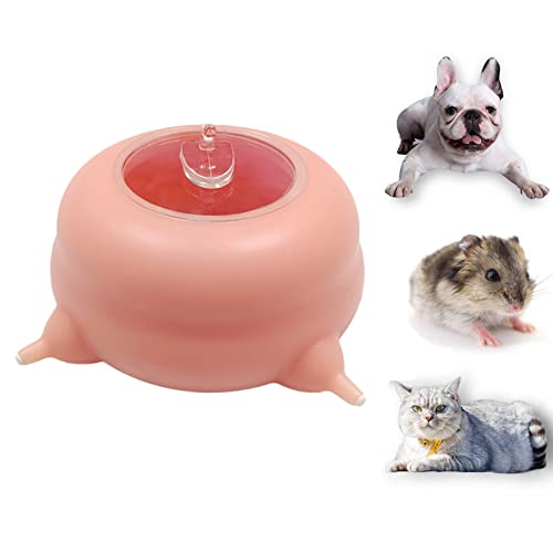 ZWEBY Welpennippel für Welpen, Silikon-Hundemilchnapf, 4 Nippel, Säuglingsflasche, Welpen-Säuglingsstation für neugeborenen Hund, Katze, 200ml von ZWEBY