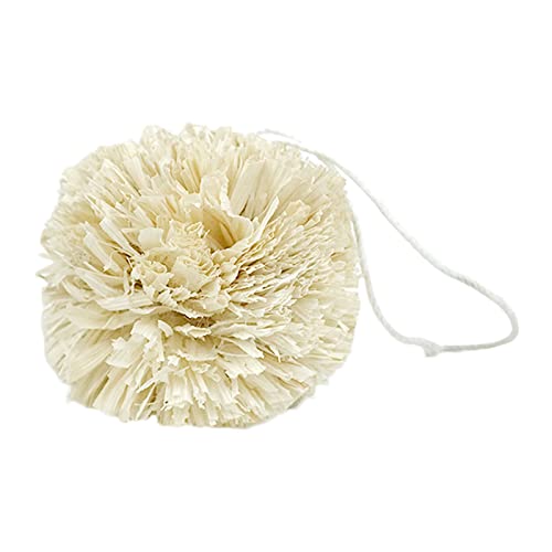 ZWTPGKRD For Hay Corn Husks Treat Chew Natural Molar Tething Toy For Small Pets von ZWTPGKRD