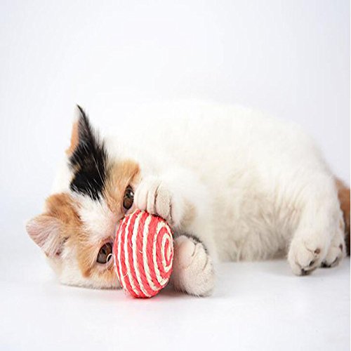 ZWTPGKRD Haustierspielzeug, Rassel, Kätzchen, zum Kauen, Kratzfangen, mehrfarbig, Wurfspielzeug für Indoor-Katzen, interaktiv mit Weihnachten, für Kinder, Bälle mit Zauberstab von ZWTPGKRD